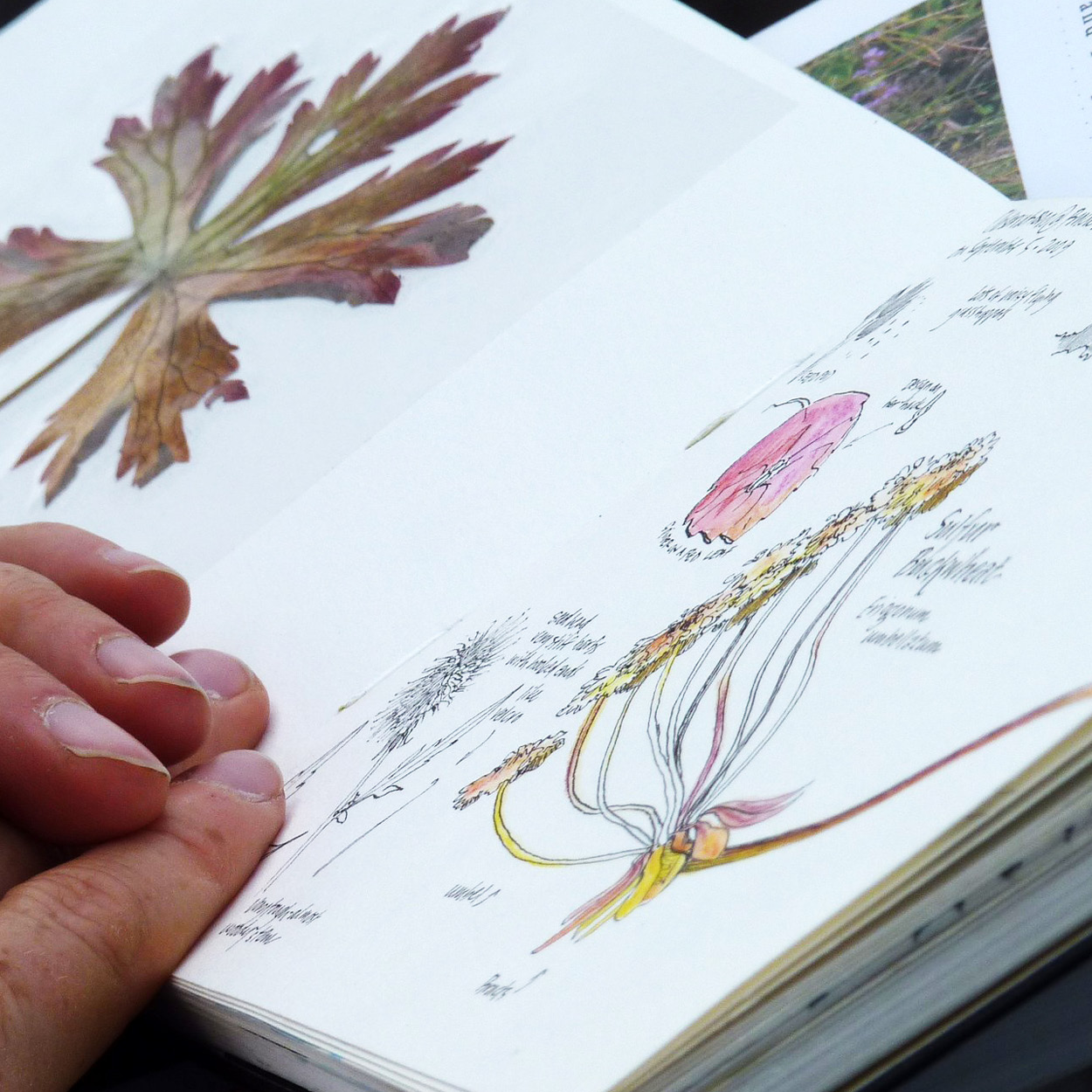 Yellowstone nature journal