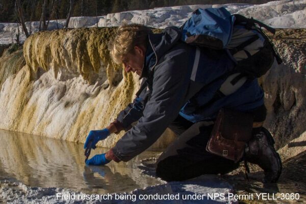 Professor Bruce Fouke continuing his research collecting samples at Mammoth Hot Springs