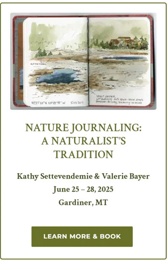 Nature Journaling Field Seminar 2025