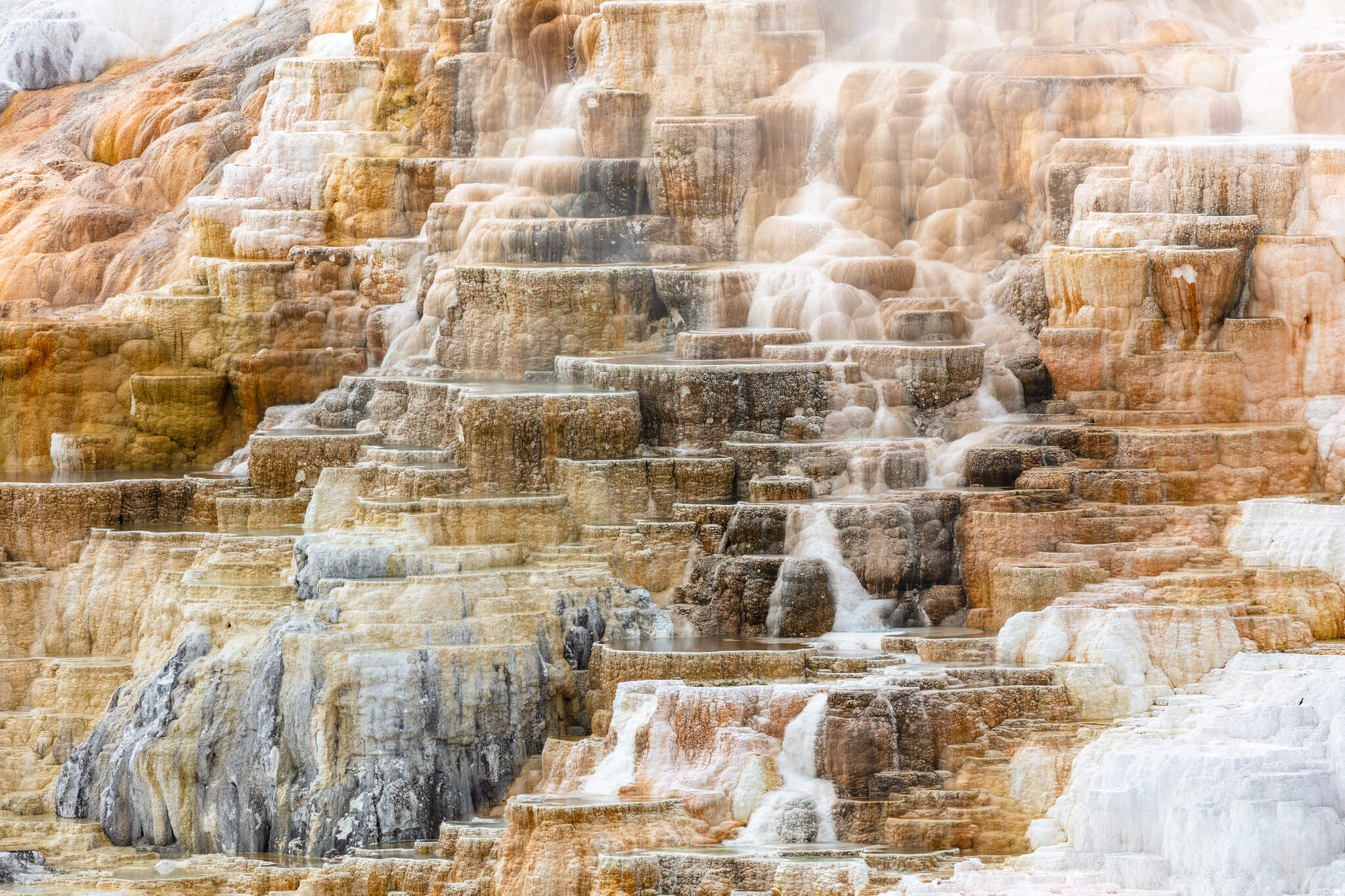 palette-spring-terraces-tight-nps-jacob-w-frank-yellowstone-large (1)