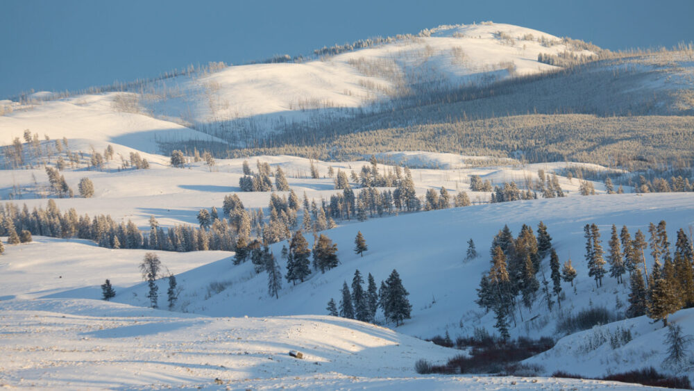 winter-sunset-on-prospect-peak-yellowstone-nps-neal-herbert-xl