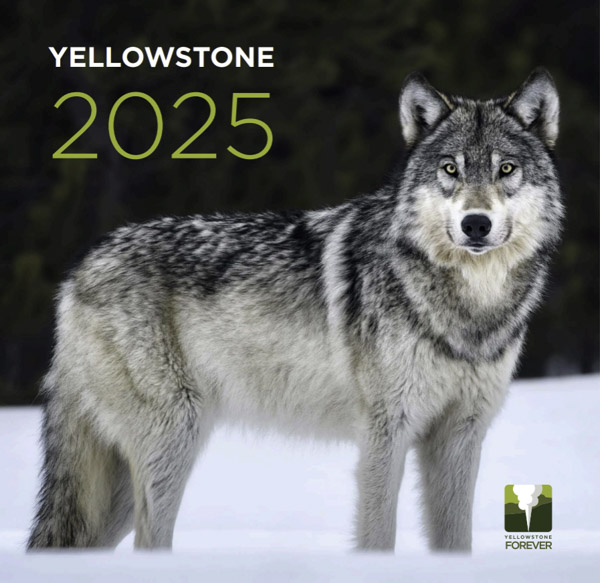 yellowstone-forever-calendar- 2025-web