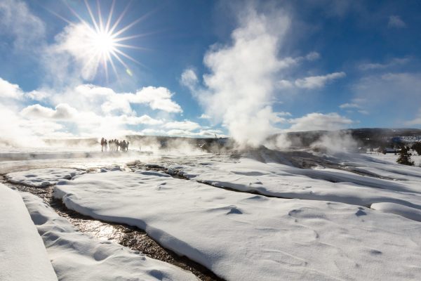 YF-TourGroupLionGroup-UpperGeyserBasin-NPS-FrankJacob