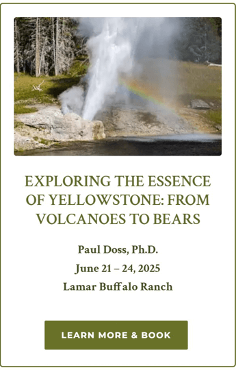 essence-of-yellowstone-paul-doss-summer-2025